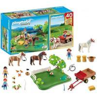 Playmobil Country 40th Anniversary Pony and Wagon Set 5457