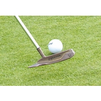 Play Pro Golf with Marriott