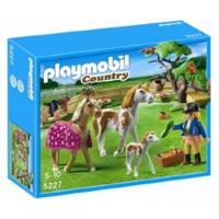 playmobil paddock with horses and pony 5227