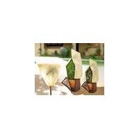 Plant Cover size XL
