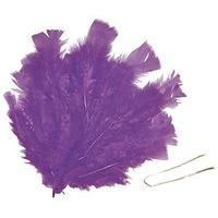 Playbox - Easter Feathers W/ Wire (purple) - 48 Pcs - (pbx2470591)