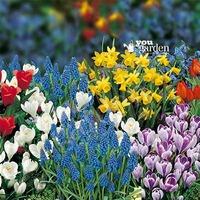 plant o mat balcony beauty 38 bulb planter pack mixed 3