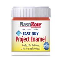 Plastikote 440.0000013.067 Fast Dry Enamel Paint B13 Bottle Insign...