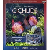 Plasma Art - Tropical Aquariums - Cichlids [Blu-ray]