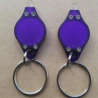 Plastic Key Lights LED Lights Key Chain