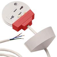 Plug in roses 6A Ashley Plug-In Roses with Heat Resistant PVC - E22045