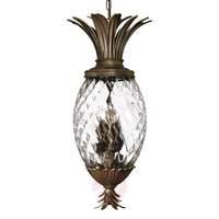 Plantation Hanging Light Unusual