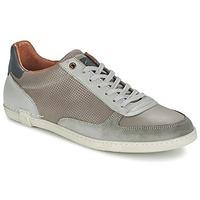 PLDM by Palladium DABSTER GLN men\'s Shoes (Trainers) in grey