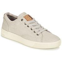 PLDM by Palladium TILA women\'s Shoes (Trainers) in BEIGE