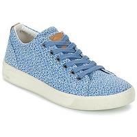 PLDM by Palladium TILA women\'s Shoes (Trainers) in blue