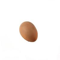 plastic eggs magic props brown