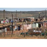 Port Elizabeth Township Private Tour