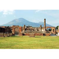 pompeii and vesuvius bus tour from sorrento