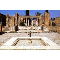 Pompeii Ruins Private Half-Day Tour