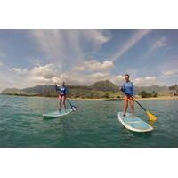 Pokai Bay Stand-up Paddleboard Lesson