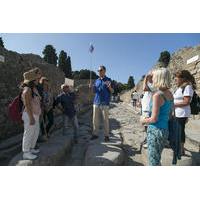 Pompeii and Mt Vesuvius Tour from Naples with Lunch and Wine Tasting by Private Coach