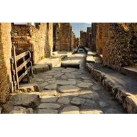 Pompeii and Wine Tasting Experience from Sorrento