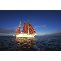 Port Phillip Bay Sailing and Yarra River Cruise by Traditional Timber Tall Ship from Melbourne
