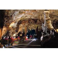 postojna cave and lake bled small group tour from ljubljana