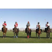 Polo Match and Lesson Day Trip from Buenos Aires