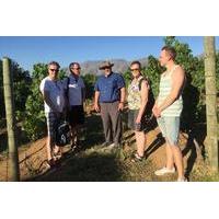 Potpourri Wine Tasting Tour in S...