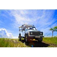 polynesian cultural island day tour by 4wd including traditional tahit ...