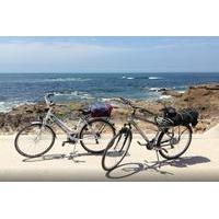 Porto Bike Rental