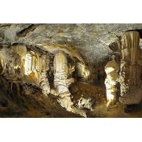 Postojna Cave and Vipava Valley Wine Tour