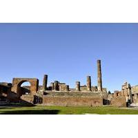 pompeii ruins 2 hour private guided tour