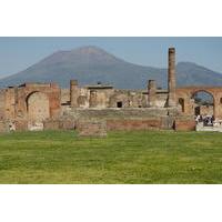 Pompeii and Mount Vesuvius Day Trip from Naples