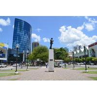 Port of Spain and Fort George Sightseeing Tour