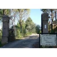 PODERE CALDARUCCIO LA PINETA