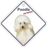 Poodle