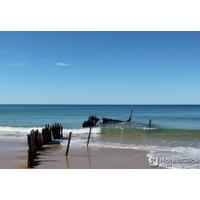 PORTOBELLO BY THE SEA