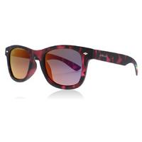 polaroid junior pld8009n sunglasses havana fuchsia srr 45mm