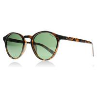 Polaroid PLD1013S Sunglasses Havana V08 Polariserade