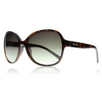 Polaroid PLD4018S Sunglasses Tortoise PWX Polariserade