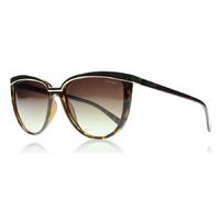 Polaroid PLD4016S Sunglasses Havana V08 Polariserade