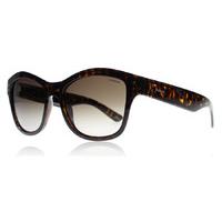 Polaroid Palladium 4034S Sunglasses Dark Havana 086 Polariserade 54mm