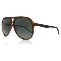 Polaroid PLD2048/S Sunglasses Matte Havana N9P Polariserade 59mm