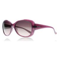 polaroid p8317c sunglasses purple c6t polariserade