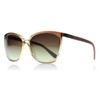 polaroid p8440b sunglasses crystal brown o81 polariserade