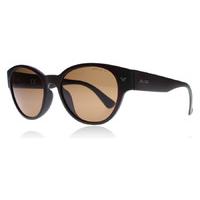 police spl151 brown z55p 52 sunglasses brown z55p polariserade 52mm