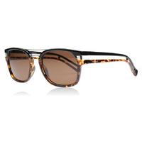 Police Neymar Jr Sunglasses Tortoise and Black N33H Polariserade