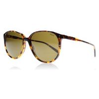 Polo 4097 Sunglasses Tortoise 535173