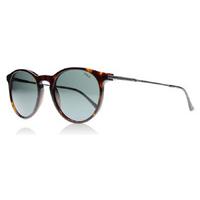 Polo 4096 Sunglasses Tortoise 500387