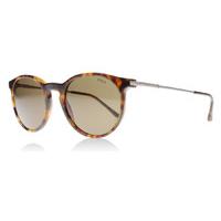 Polo 4096 Sunglasses Tortoise 501773