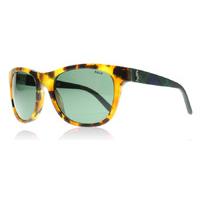 polo 4091 sunglasses tortoise 550171