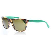 Polo 4071 Sunglasses New Havana Jerry 538473 55mm