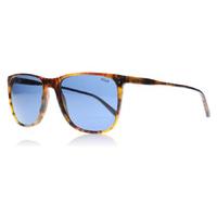 Polo 4102 Sunglasses Havana 501780